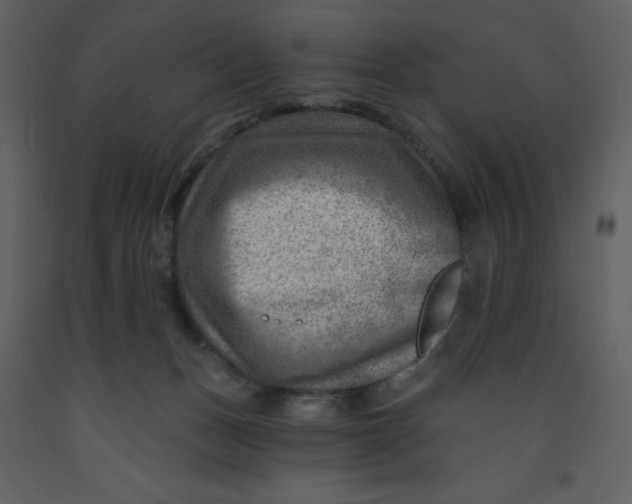 X0000093260175200710171457