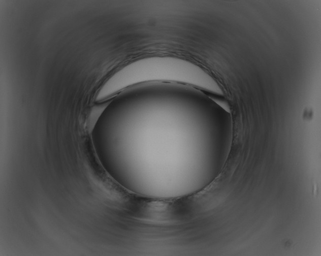 X0000093260176200710171457