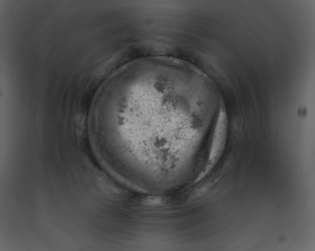 X0000093260177200710171457