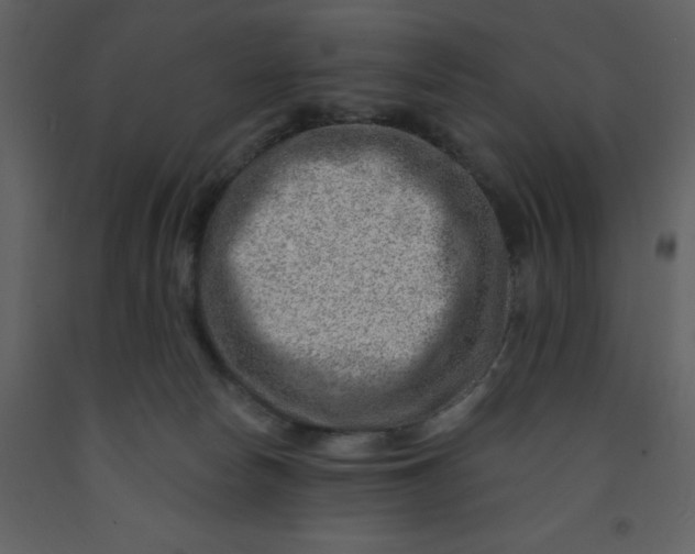 X0000093260178200710171457