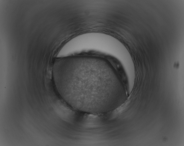 X0000093260180200710171457