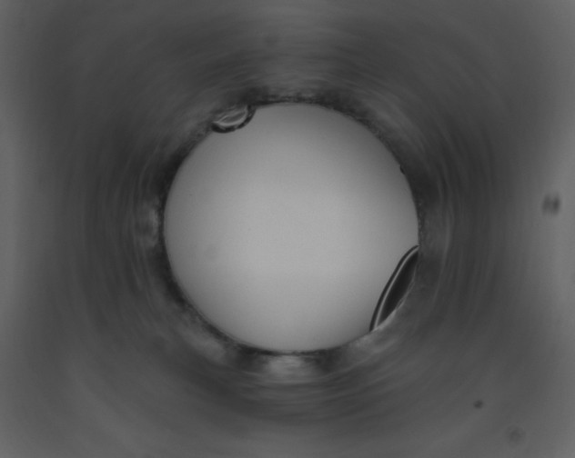 X0000093260183200710171457