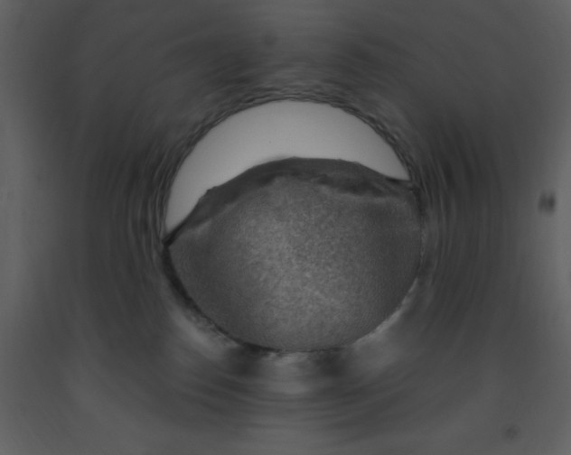 X0000093260186200710171457