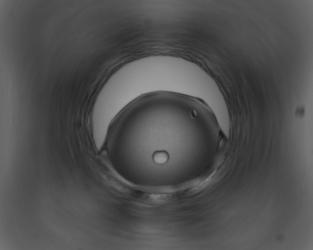 X0000093260188200710171457