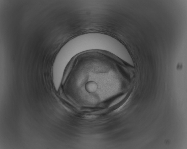 X0000093260192200710171457