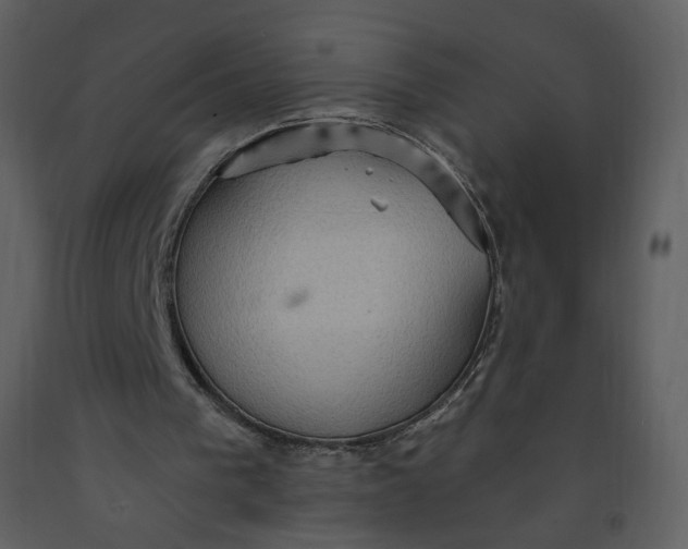 X0000093260193200710171457