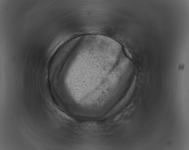 X0000093260194200710171457