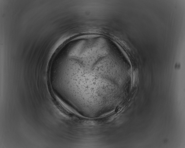 X0000093260195200710171457