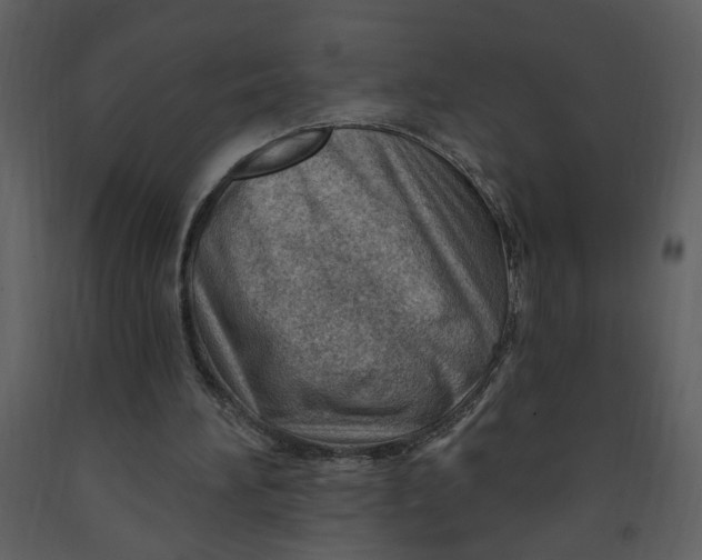 X0000093260196200710171457