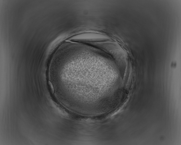 X0000093260197200710171457