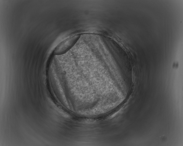 X0000093260198200710171456