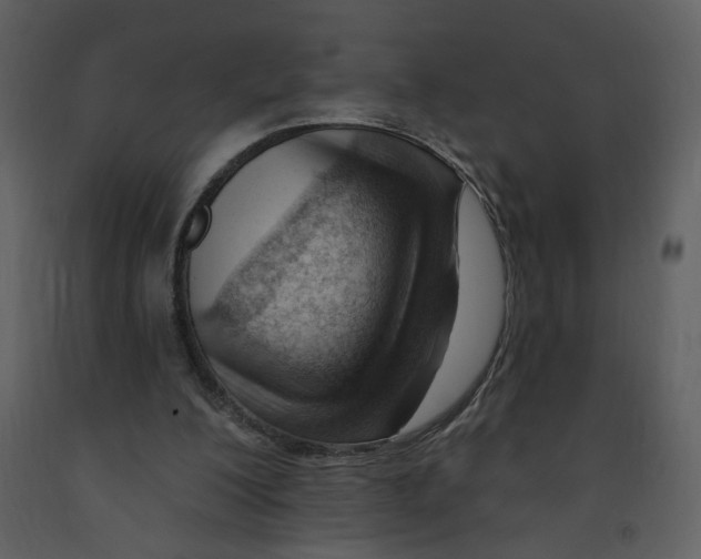 X0000093260200200710171456