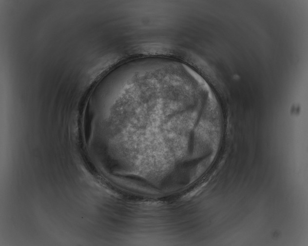 X0000093260202200710171456