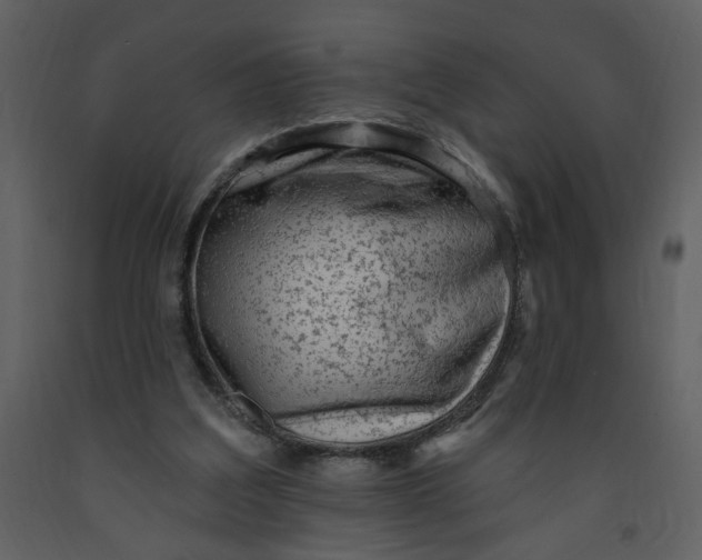 X0000093260203200710171456