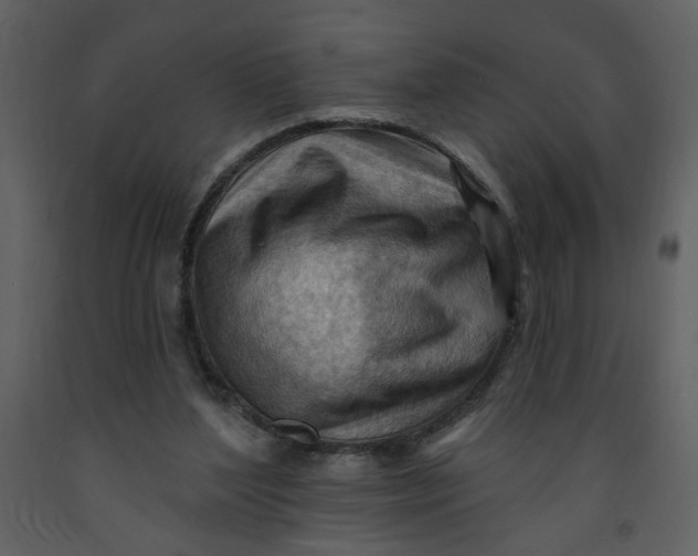 X0000093260204200710171456