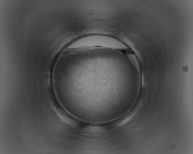 X0000093260205200710171456