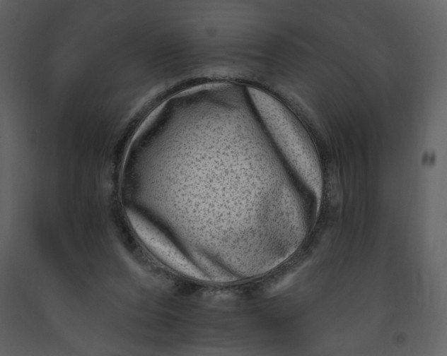 X0000093260208200710171456