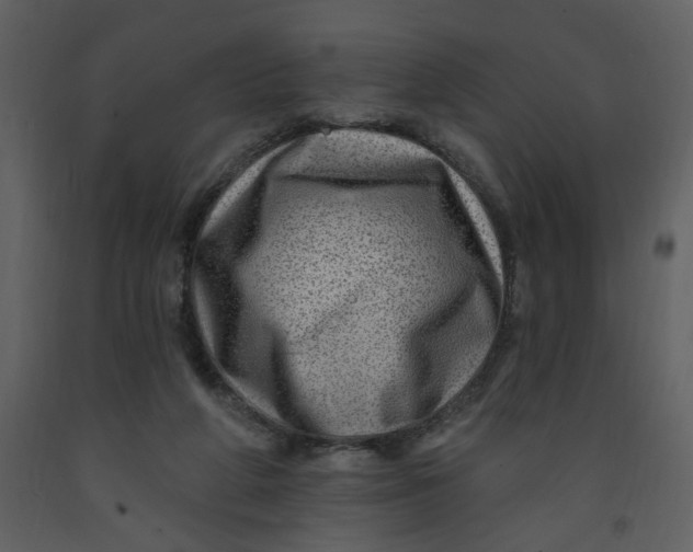 X0000093260210200710171456