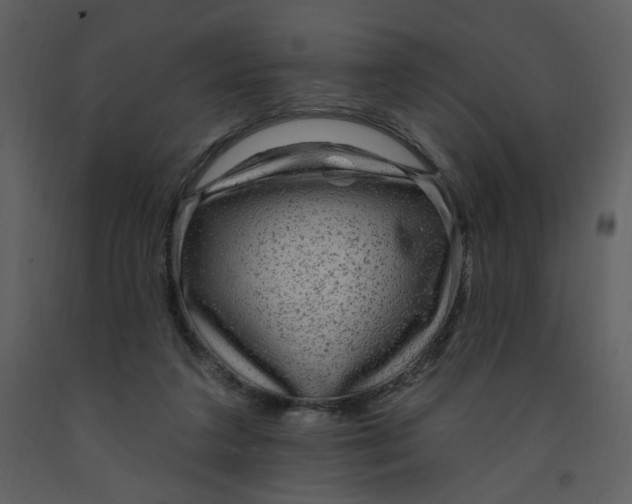 X0000093260211200710171456