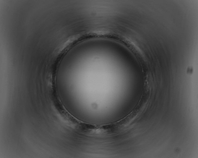 X0000093260212200710171456