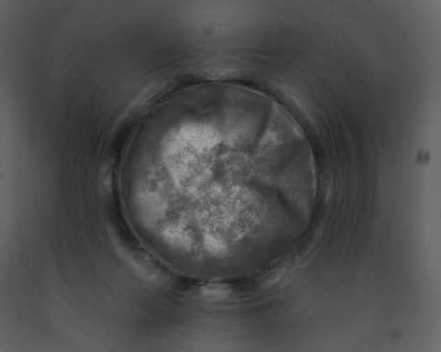 X0000093260214200710171456