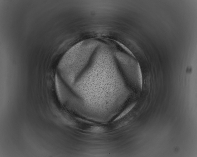 X0000093260218200710171456