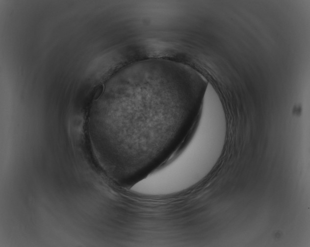 X0000093260219200710171456