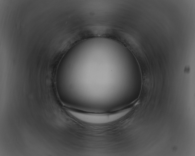 X0000093260221200710171456