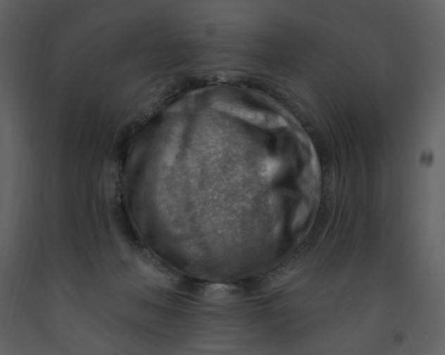 X0000093260222200710171456