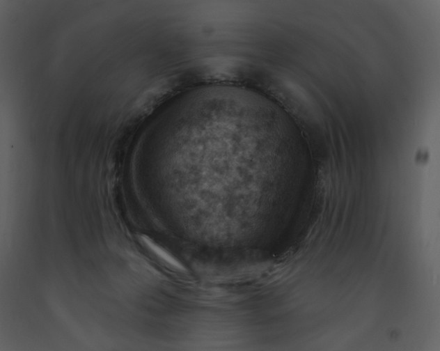 X0000093260223200710171456