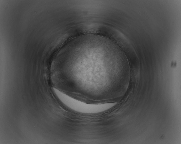 X0000093260224200710171456