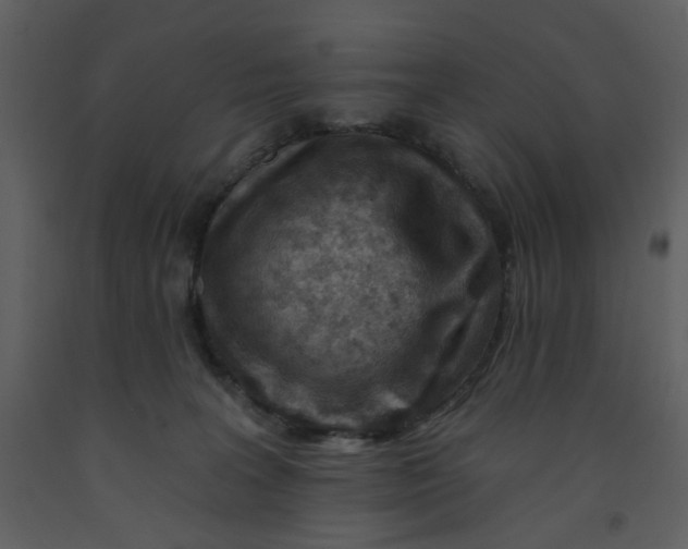 X0000093260227200710171456