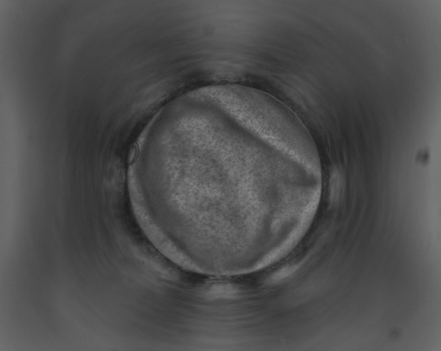 X0000093260228200710171456