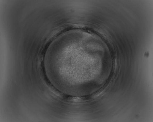 X0000093260229200710171456