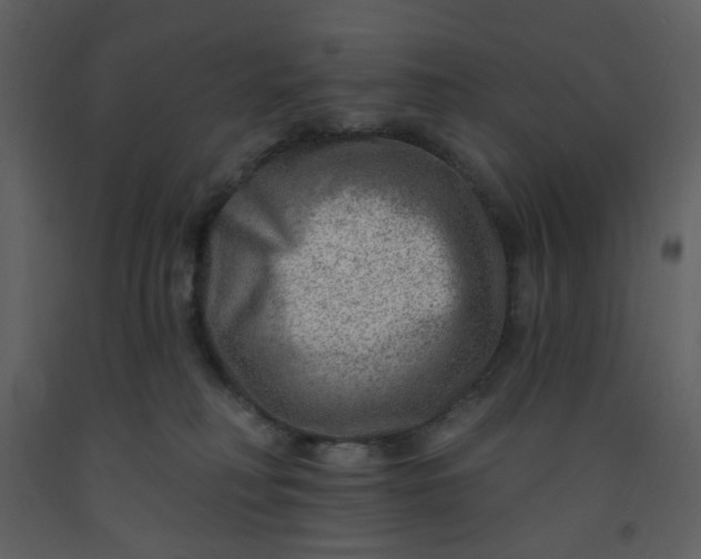 X0000093260230200710171456