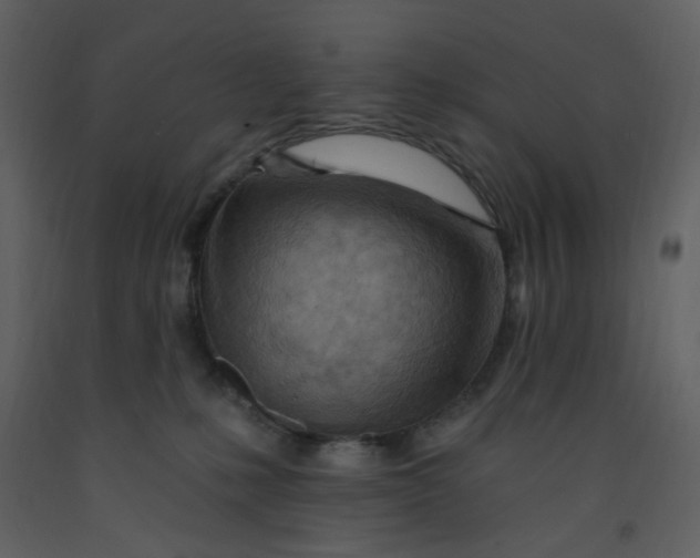 X0000093260231200710171456