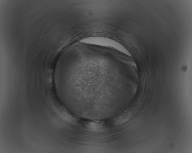 X0000093260232200710171456