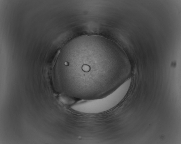 X0000093260233200710171456