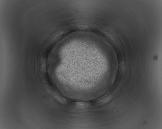 X0000093260234200710171456