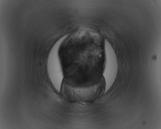 X0000093260235200710171456