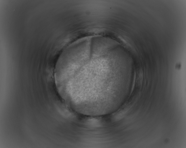 X0000093260236200710171456