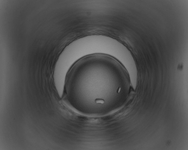 X0000093260237200710171456