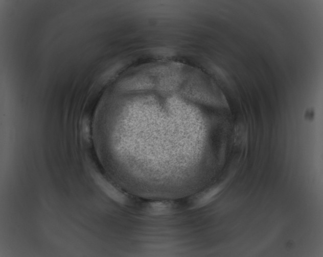 X0000093260238200710171456