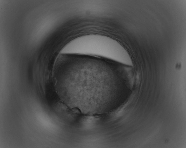 X0000093260239200710171456