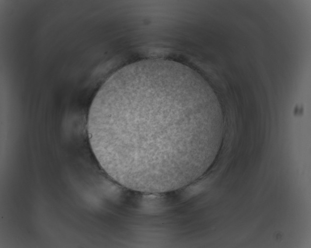 X0000093260240200710171456