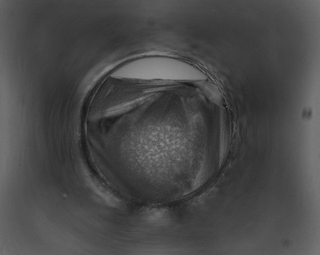 X0000093260247200710171455