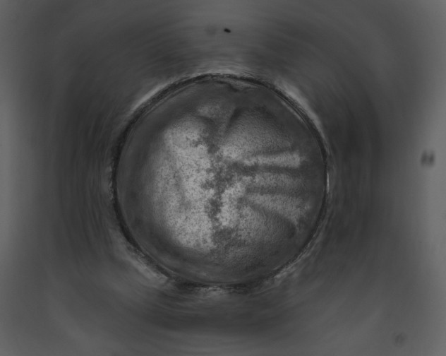 X0000093260249200710171455