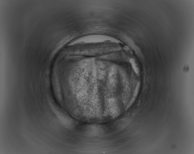 X0000093260250200710171455