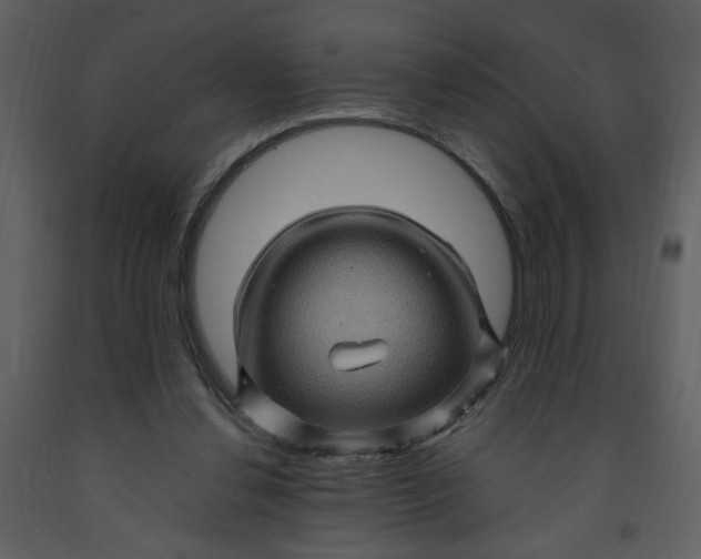 X0000093260252200710171455