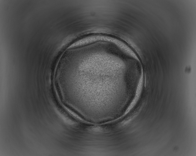 X0000093260253200710171455